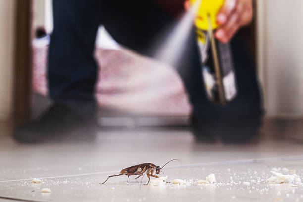 Professional Pest Control in Burbank, CA